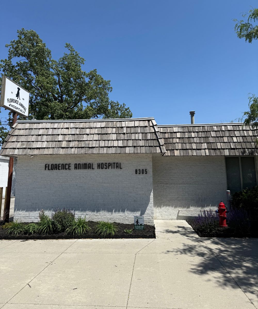 Florence Animal Hospital Building